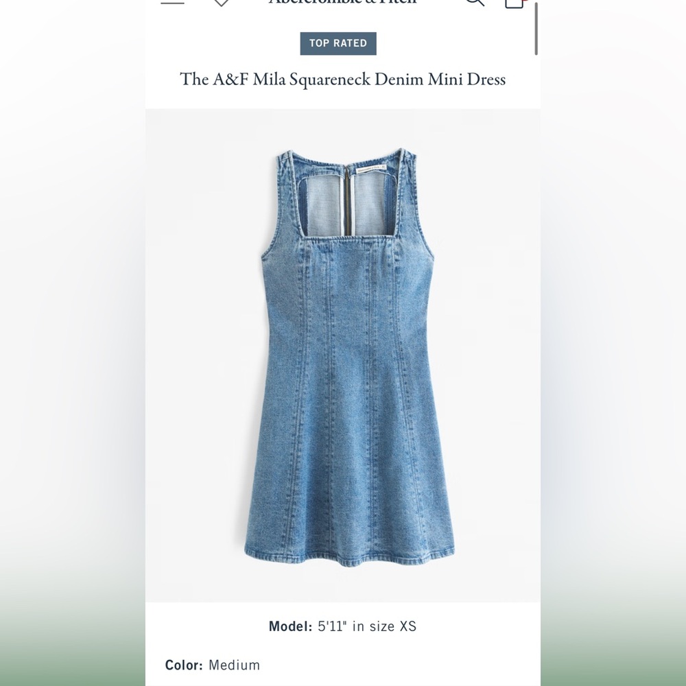 Abercrombie & Fitch Mila Squareneck Denim Mini Dress NWT Sz L